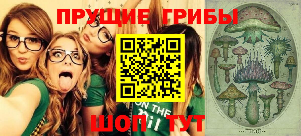 Галлюциногенные грибы прущие грибы Чебаркуль